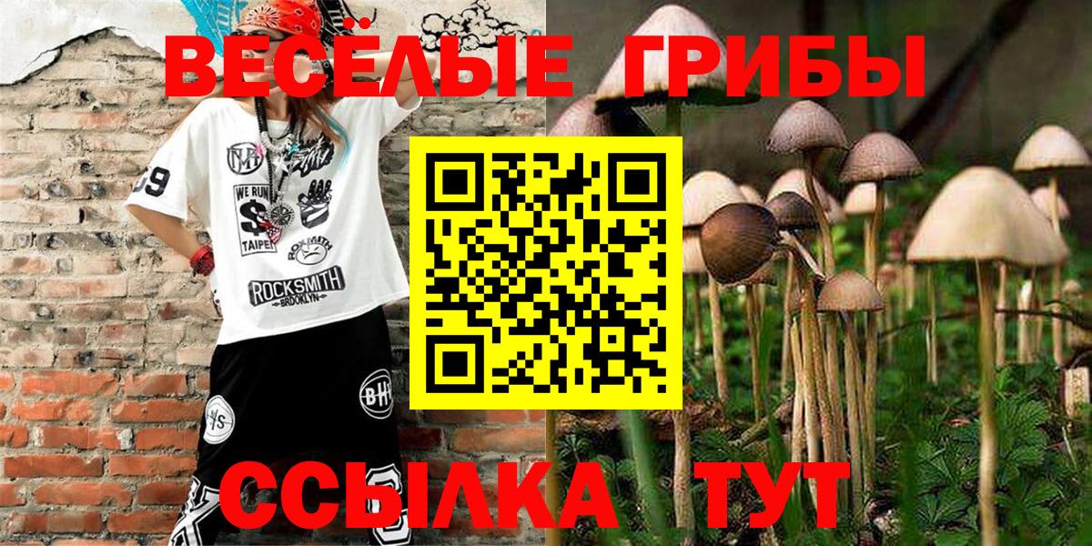 Галлюциногенные грибы ЛСД Аксай