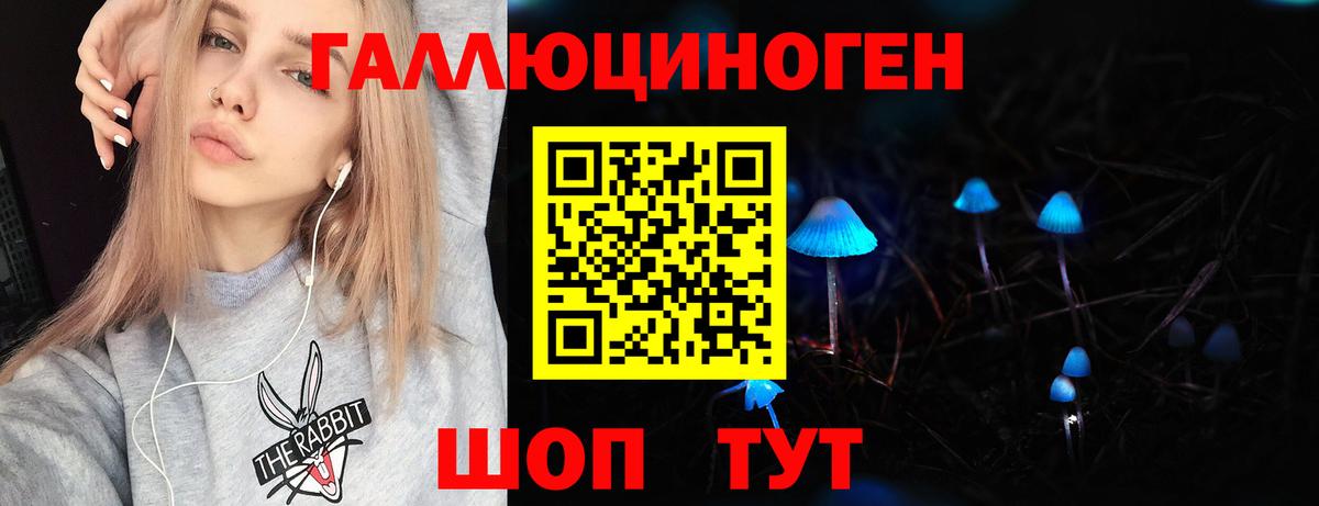 Галлюциногенные грибы GOLDEN TEACHER  Псилоцибиновые грибы прущие грибы  Вход с VPN  Аксай 